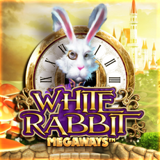 White Rabbit at Spiidi Casino